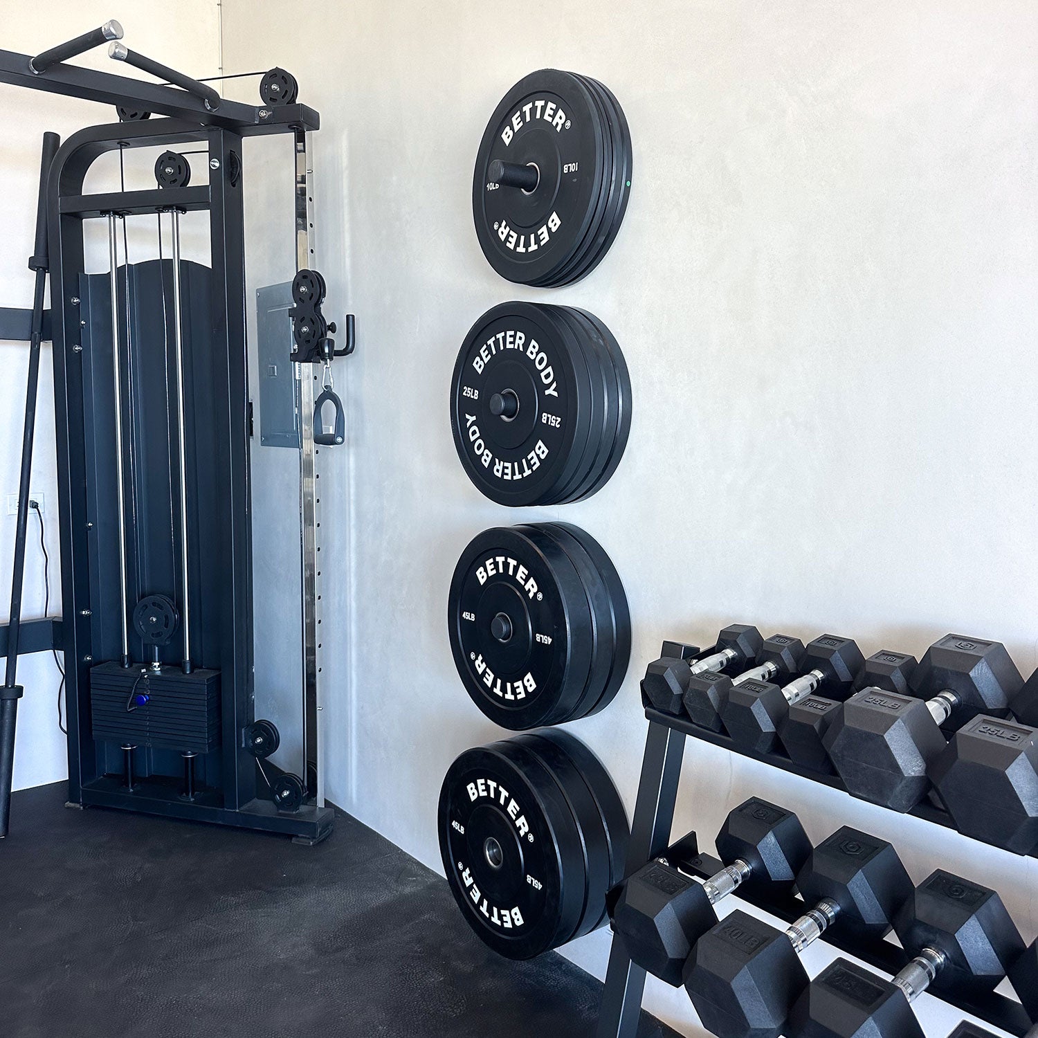 Wall Mounted Plate Storage, Single Double