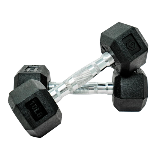 black and silver 10lb hex rubber dumbbell set