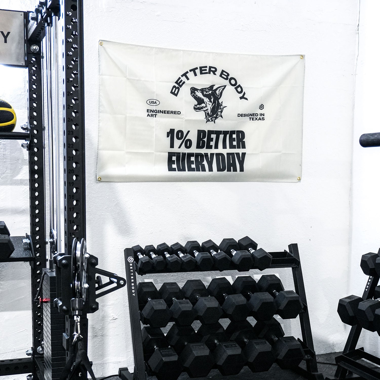 Better Body Gym Banners