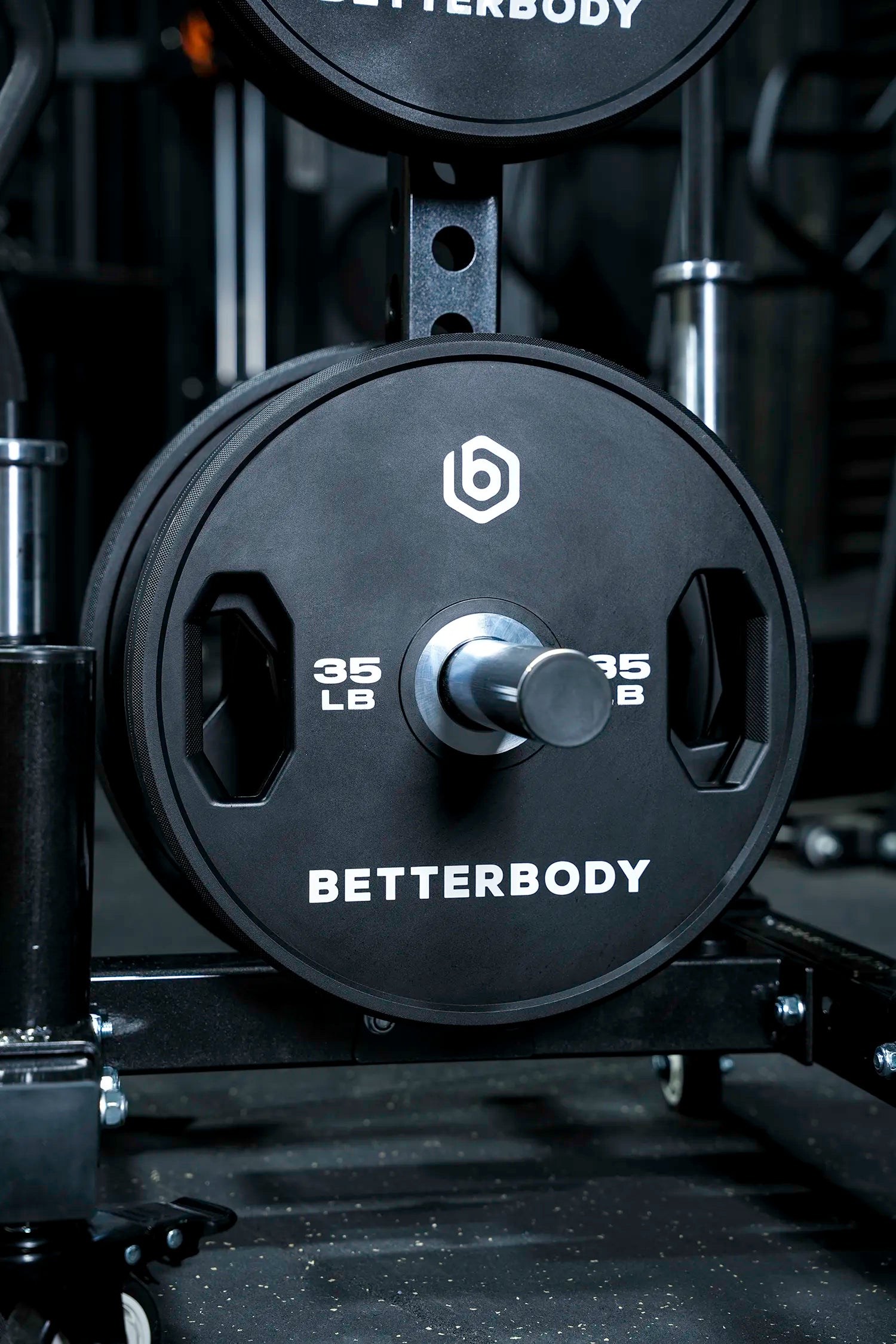 Plate Tree and Barbell Rack 2.0