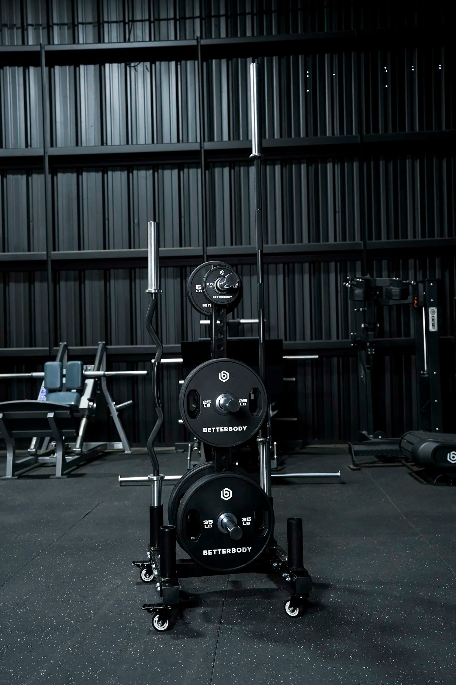 Plate Tree and Barbell Rack 2.0