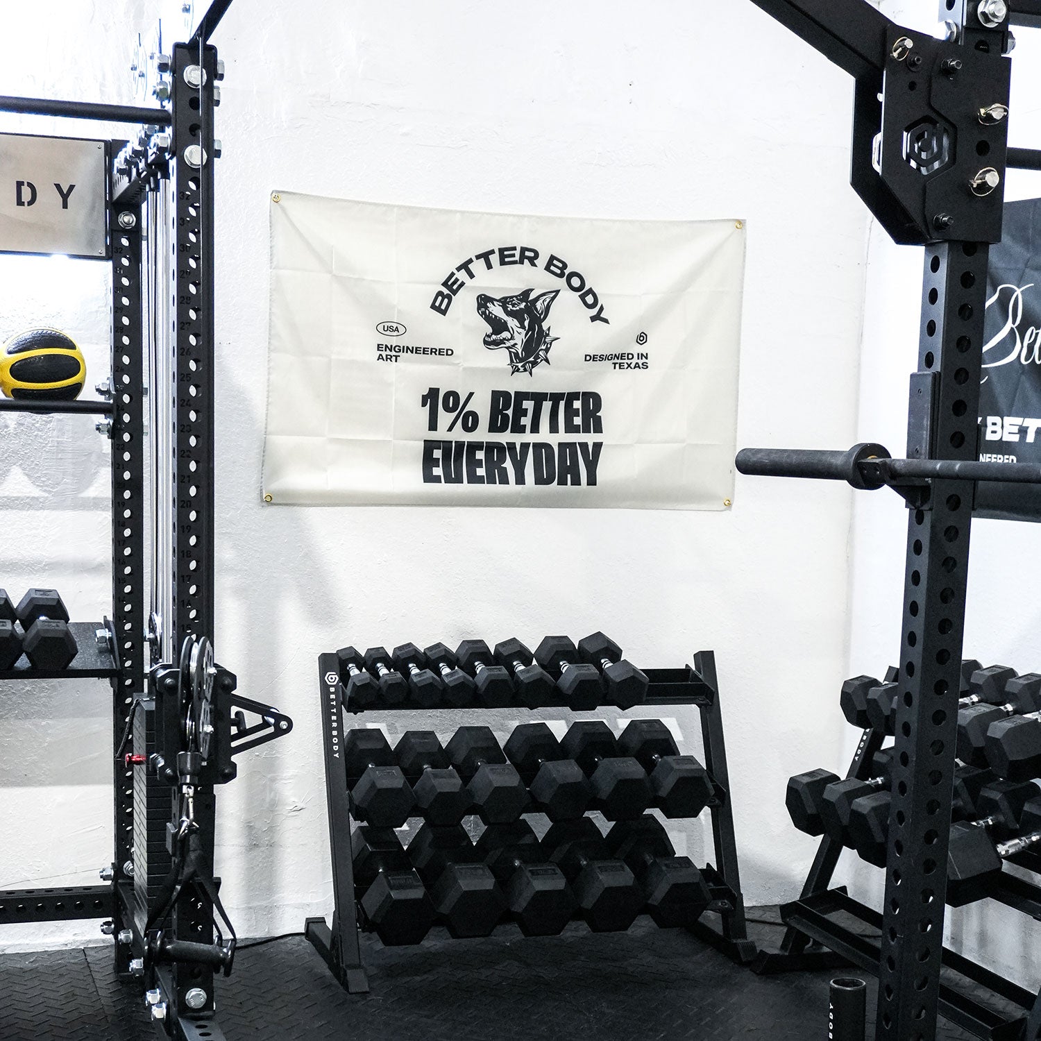 Better Body Gym Banners