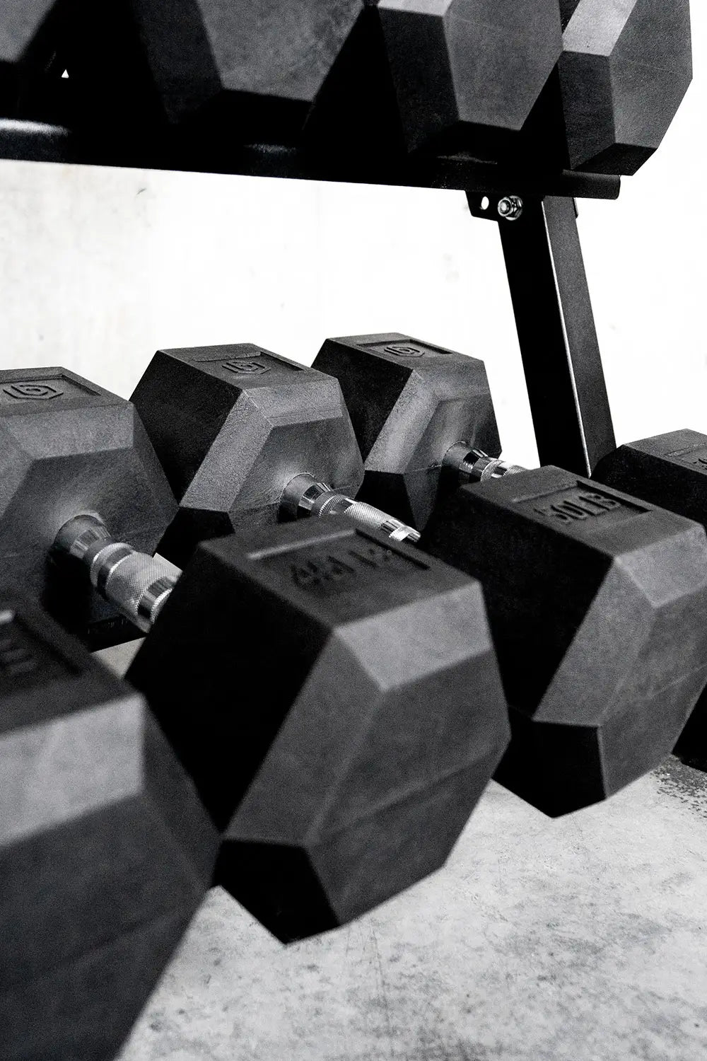Better Body Complete Gym Bundle