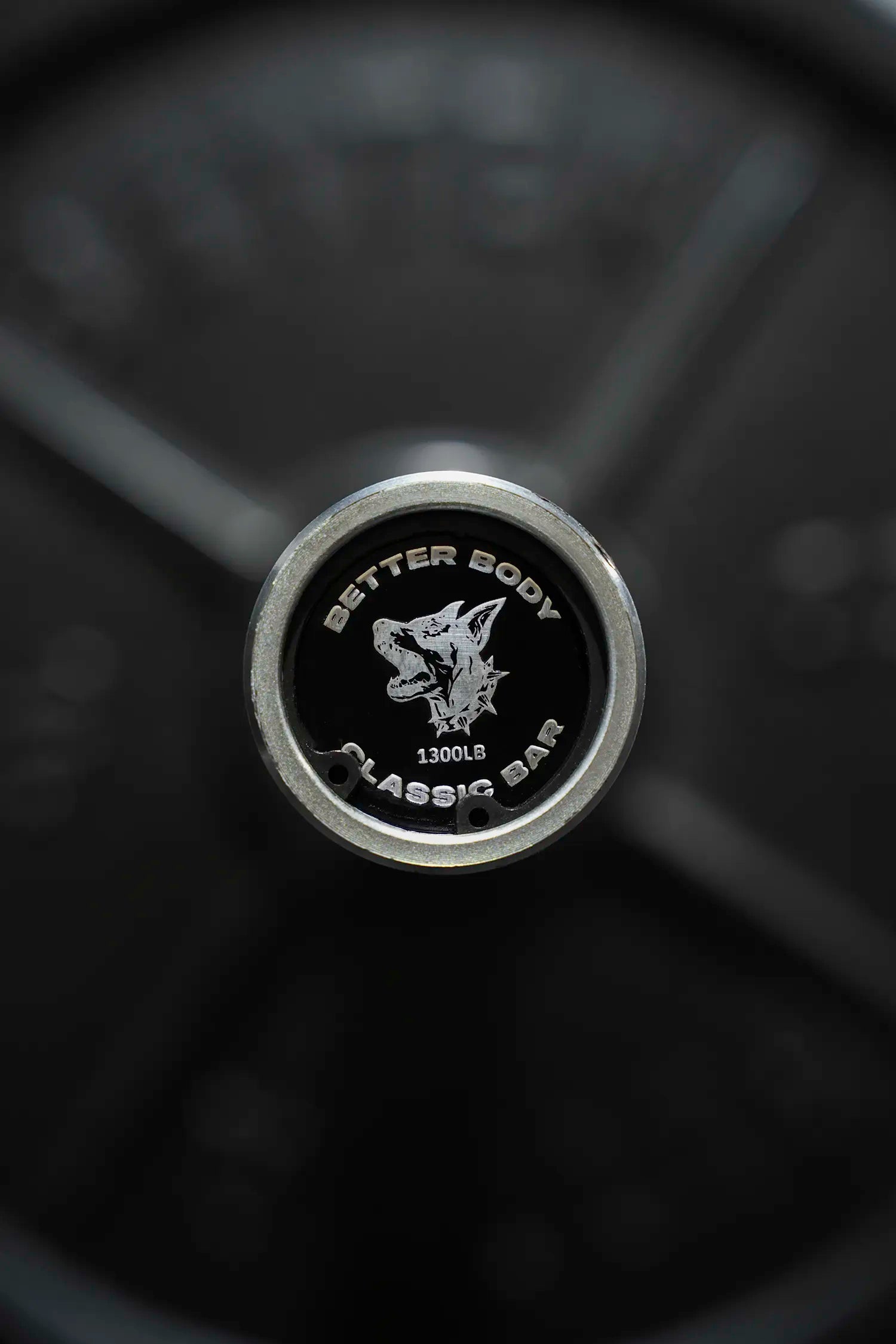 Better Body Barbell and Weight Bundle | 5-45lb