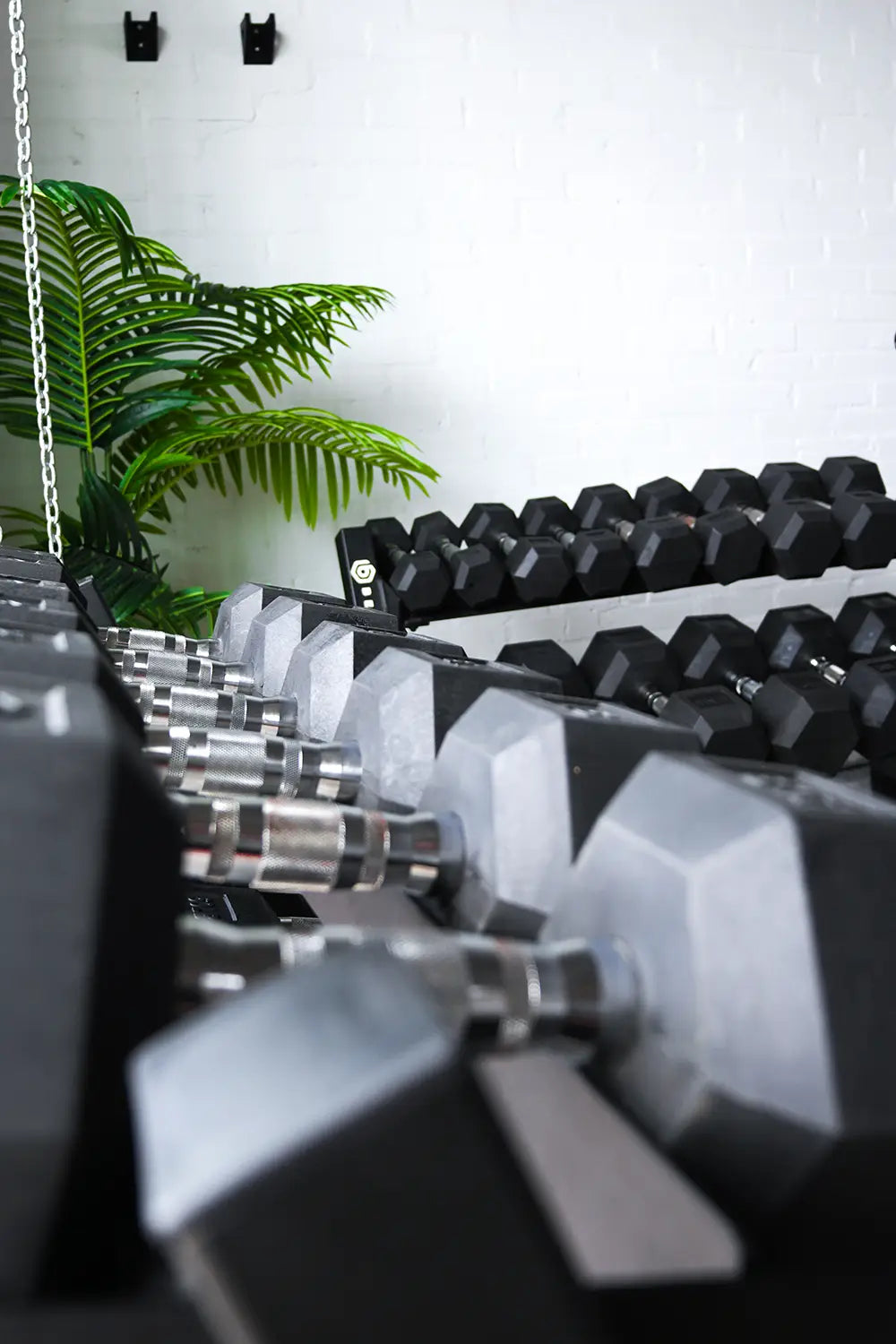 Better Body Hex Dumbbells (5-110lbs)