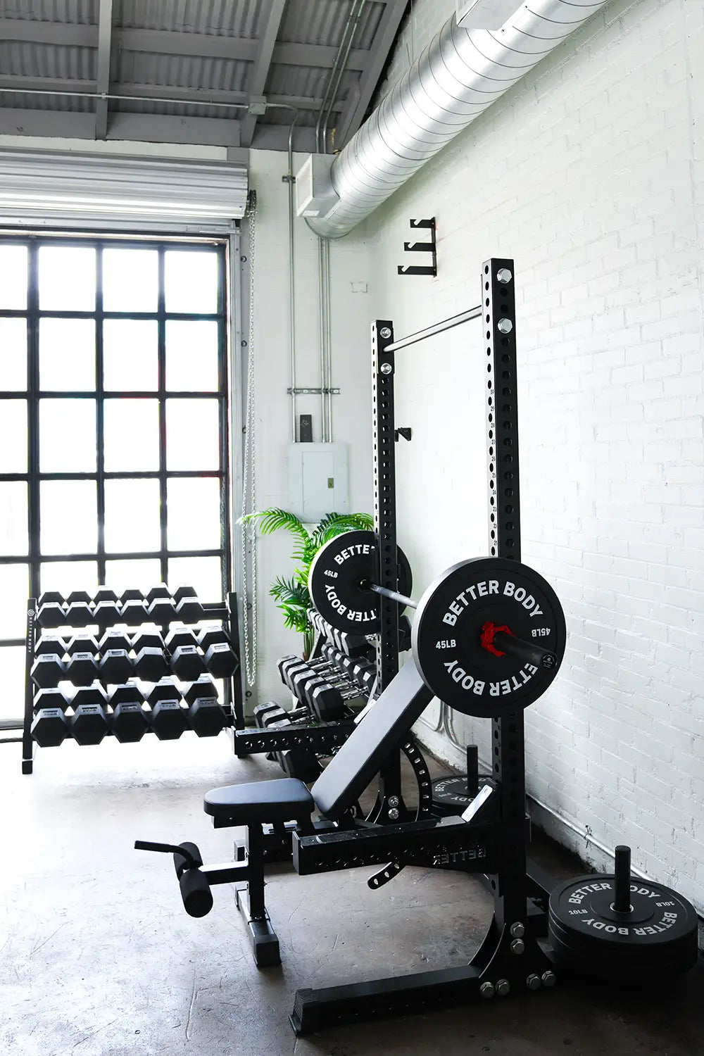 Better Body Premium Bench