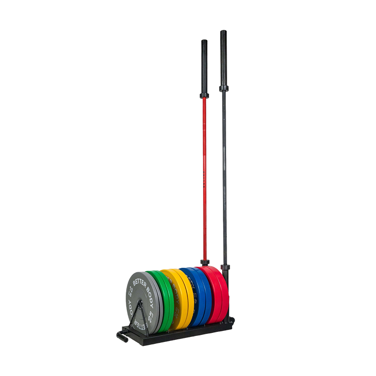 Vertical plate storage rack hot sale